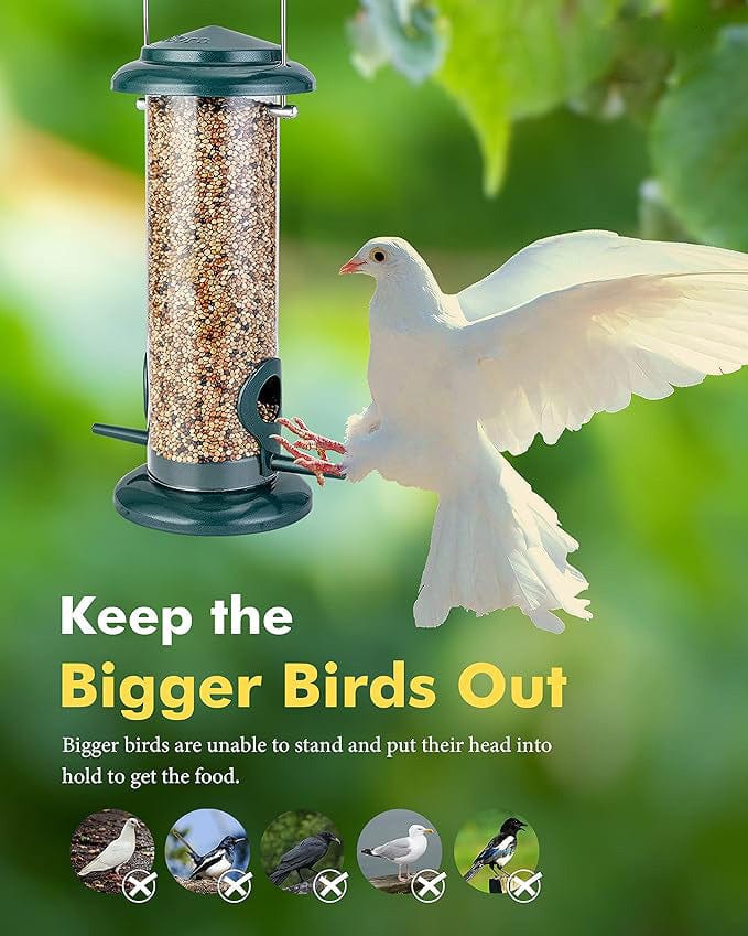 Bird feeder | Houses For Birds Bird Food Water Feeder Pigeon Food Seed (Pack of 2) - Pack Of 2 - Bird feeder (Pack of 2)