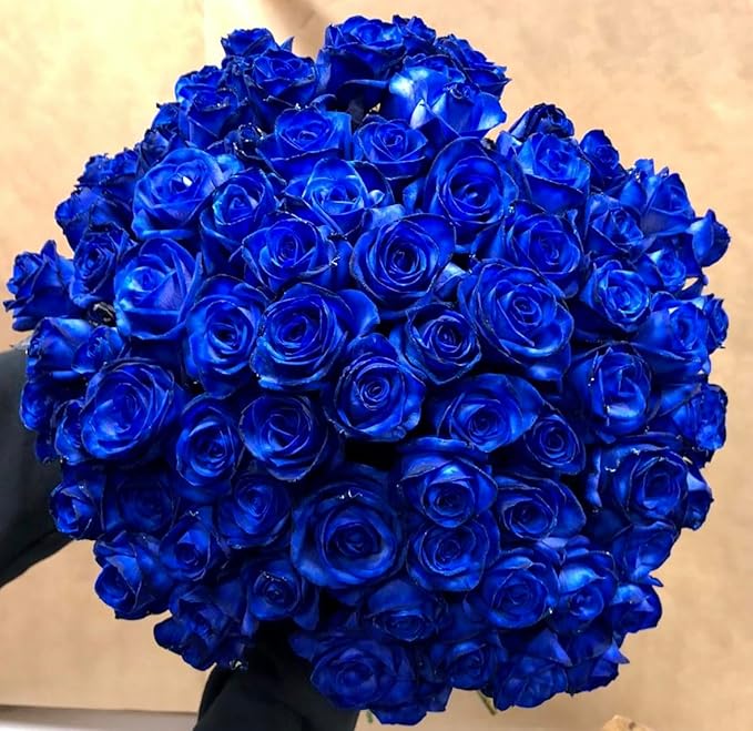 Blue Rose Seeds | Flower Seeds Rose Plant Lotus Seed Flowering Blue Rose Plant - Blue Rose Seeds (Pack of 20 seeds)