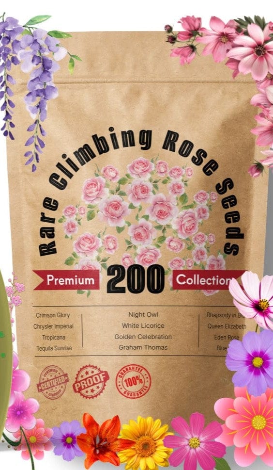 Climbing Rose Seeds | Flower Seeds Rose Plant Garden Climbing Rose Plant Seed - Elegant Climbing Rose Flower Seeds
