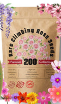 Climbing Rose Seeds | Flower Seeds Rose Plant Garden Climbing Rose Plant Seed - Elegant Climbing Rose Flower Seeds