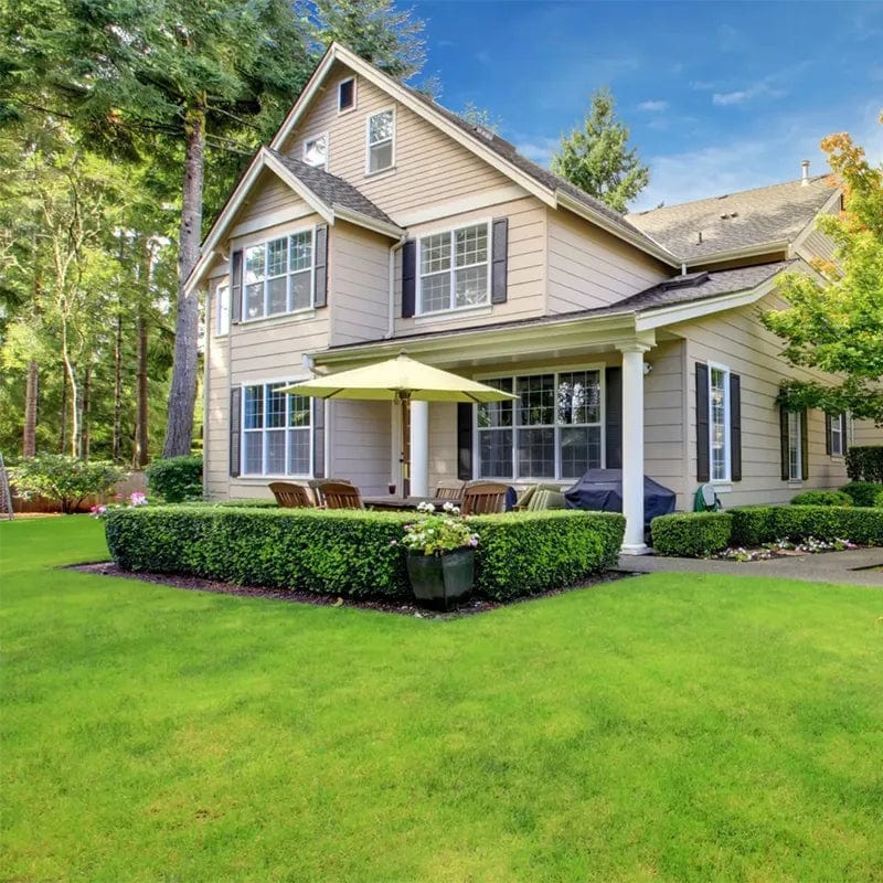 Evergreen Lawn Seeds | Seedling Germination Grass Seeds For Lawn Garden Seed - Buy 100 Get 100 Free - Evergreen Dwarf Grass Seed