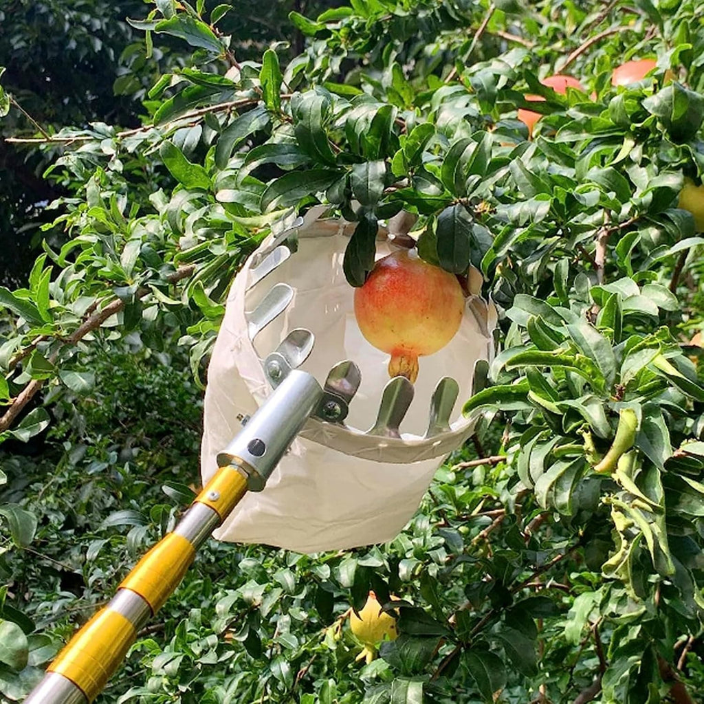 Fruit Picker | Fruit Picker Cherries Picking Apple Picker Tool Harvest Fruit - Fruit Picker