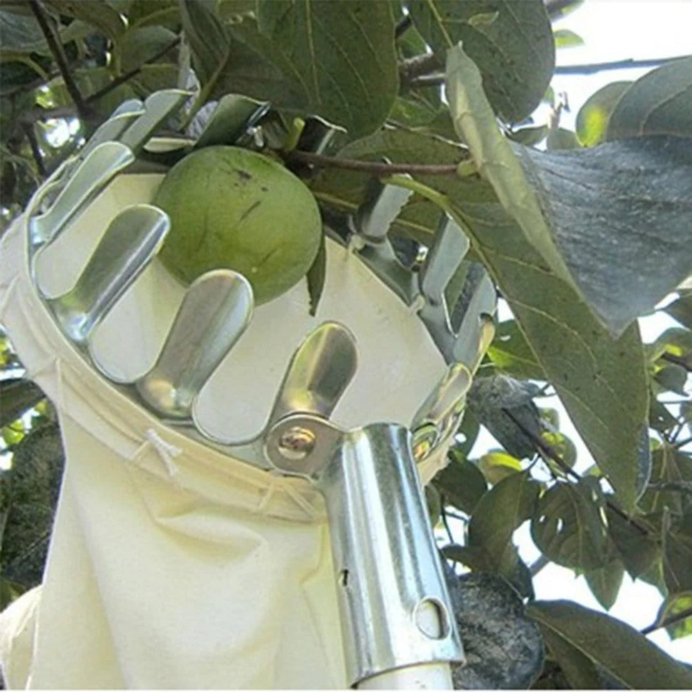 Fruit Picker | Fruit Picker Cherries Picking Apple Picker Tool Harvest Fruit - Fruit Picker