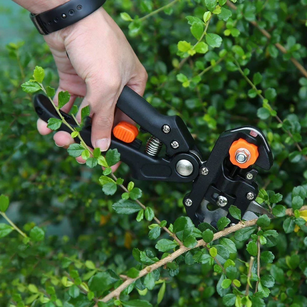 Grafting Tool Kit | Garden Tool Set Tree Cutters Grafting Plants Fruit Pruning Scissors - Grafting Tool Kit
