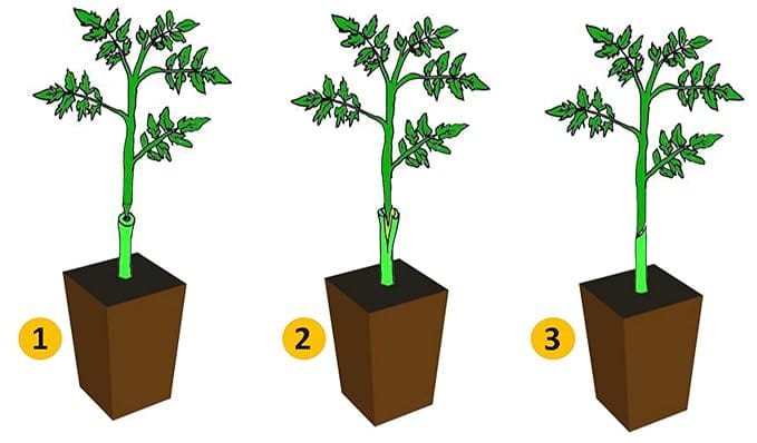 Grafting Tool Kit | Garden Tool Set Tree Cutters Grafting Plants Fruit Pruning Scissors - Grafting Tool Kit