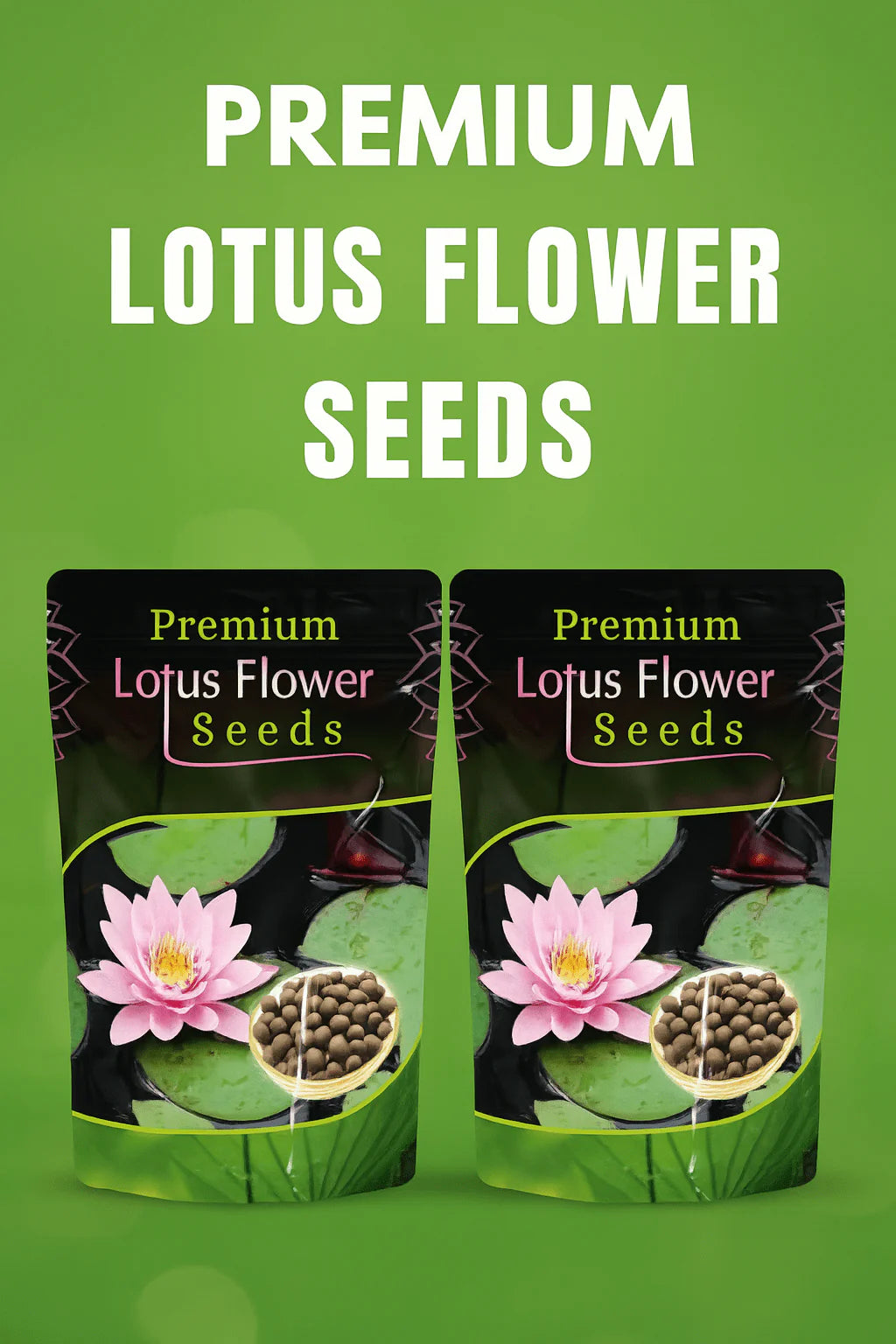 Lotus Flower Seeds | Lotus Flower Seeds - 80 Lotus Seeds - Lotus Flower Seeds (Pack of 80)