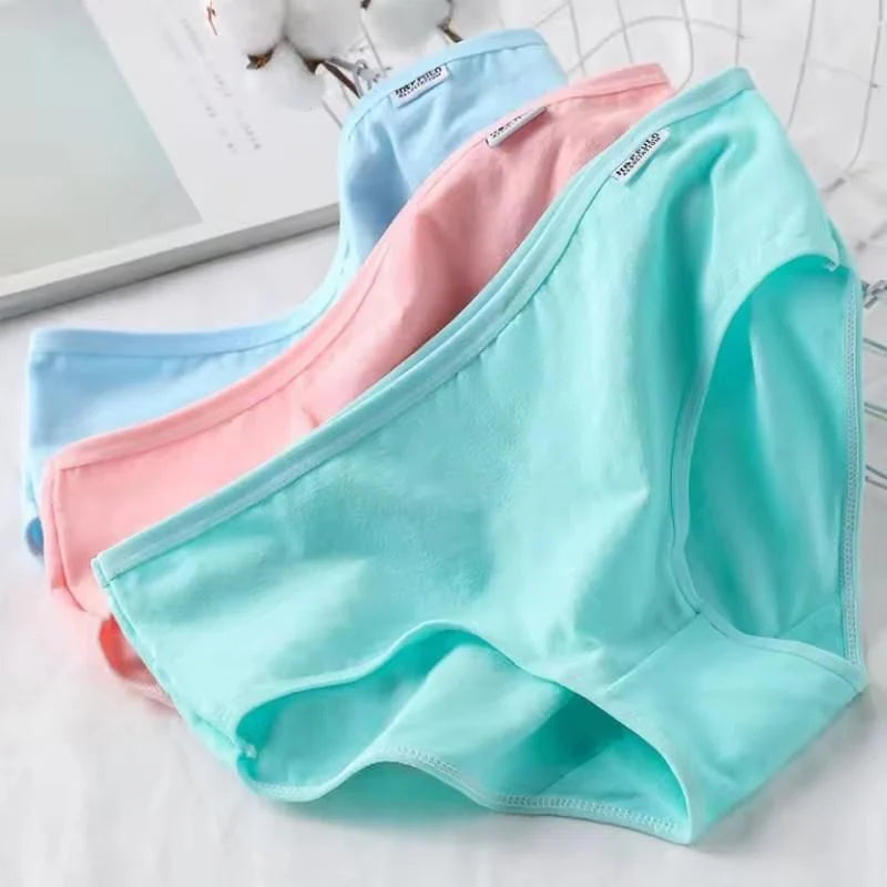 M - Women's Cotton Comfortable Underwear Pack of 4