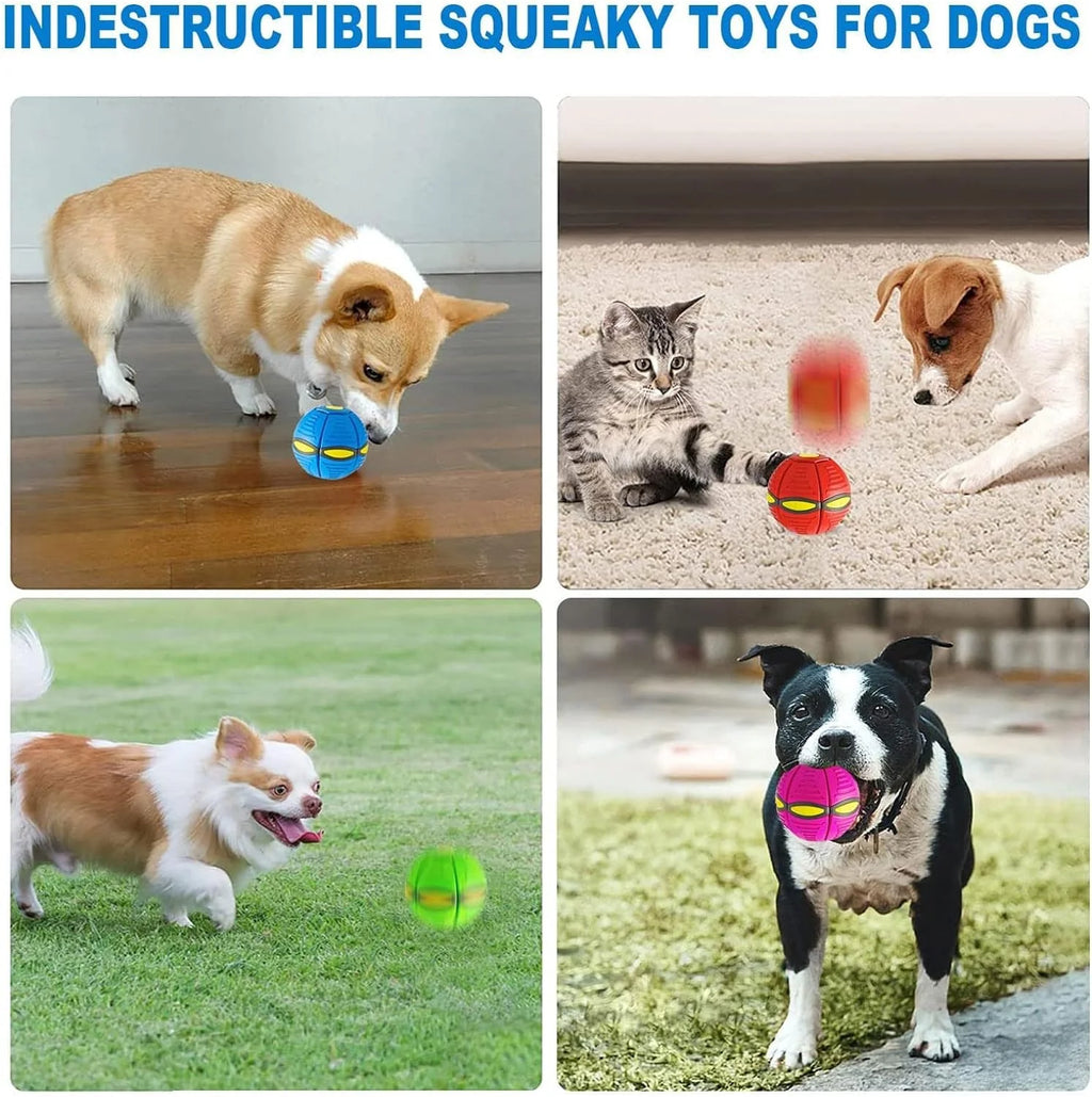Magic Ball Toy For Pet | Shop Pet Dog Cat Playing Toys Accessories Games Dog Gift - Magic Ball Toy For Pet