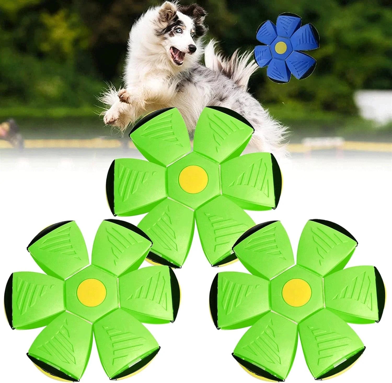 Magic Ball Toy For Pet | Shop Pet Dog Cat Playing Toys Accessories Games Dog Gift - Magic Ball Toy For Pet