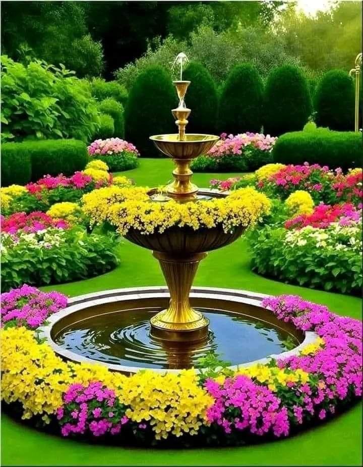 Sun Flower Seeds Daisy Flower Flowering Plants Germination Of Seed - (Pack of 100 Flower Seeds) - Multiple Variety Of Flower Seeds (Pack of 100 Seeds)